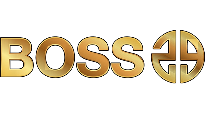 Boss29 Logo